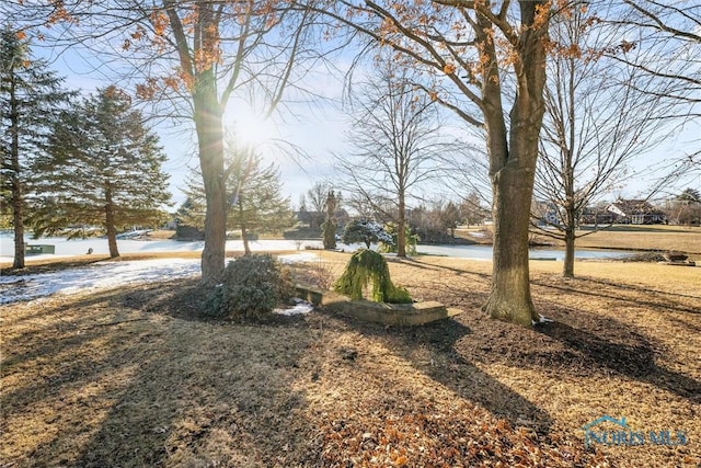 view of yard with a water view