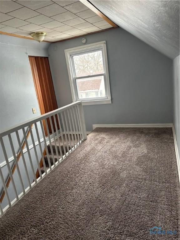 additional living space with lofted ceiling, a textured ceiling, baseboards, and carpet flooring