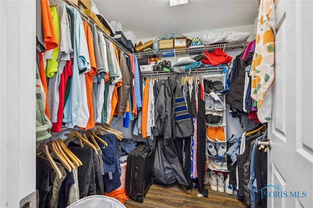 walk in closet with wood finished floors