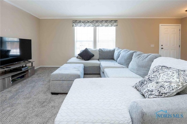 20391 Brown Ln, Weston, OH 43569 - carpeted living area featuring baseboards and crown molding