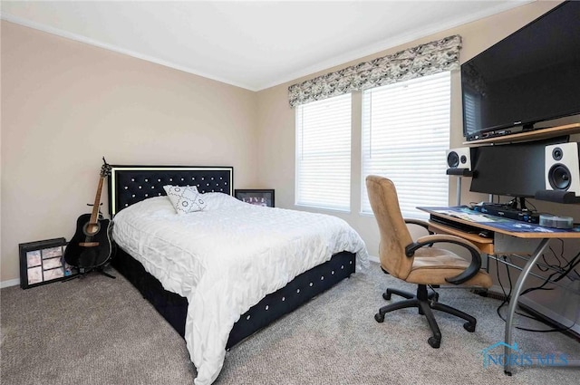 20391 Brown Ln, Weston, OH 43569 - bedroom with baseboards, carpet flooring, and crown molding
