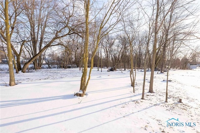 20391 Brown Ln, Weston, OH 43569 - view of snowy yard