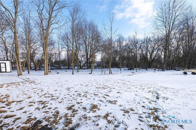 20391 Brown Ln, Weston, OH 43569 - view of yard layered in snow
