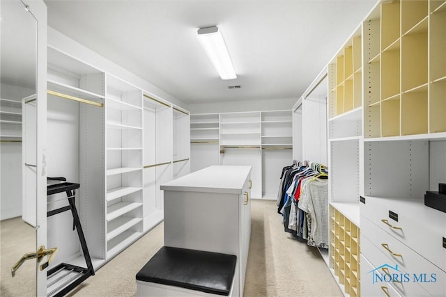 spacious closet with light colored carpet