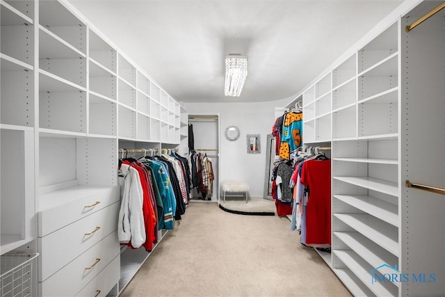 spacious closet with light carpet