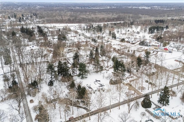 view of snowy aerial view