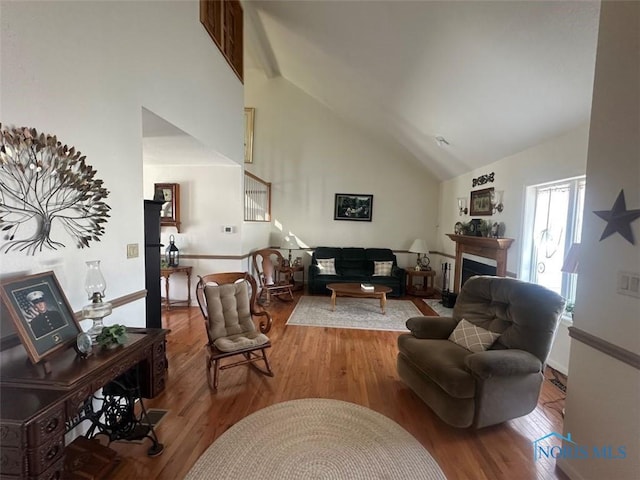 living area featuring high vaulted ceiling, a fireplace, and wood finished floors