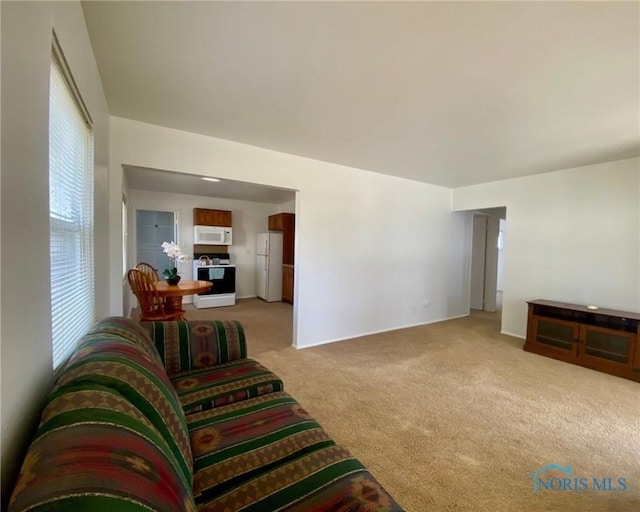 living room featuring light colored carpet