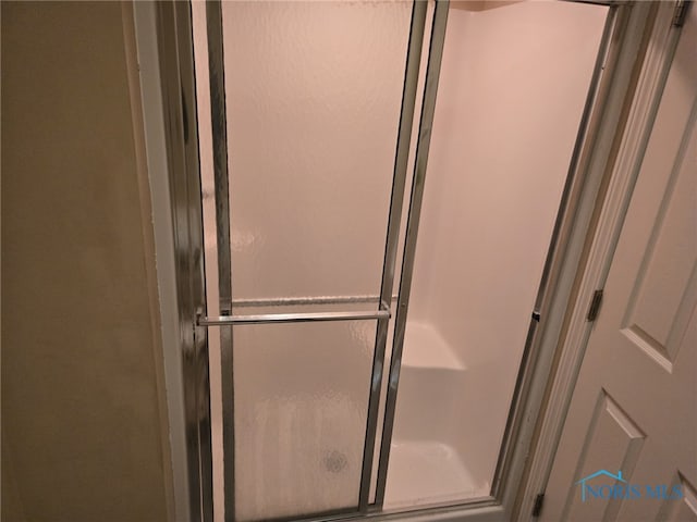 bathroom featuring a shower with shower door