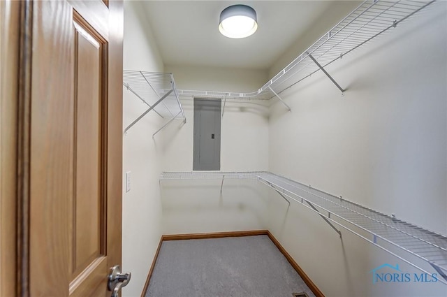 spacious closet featuring electric panel and carpet flooring