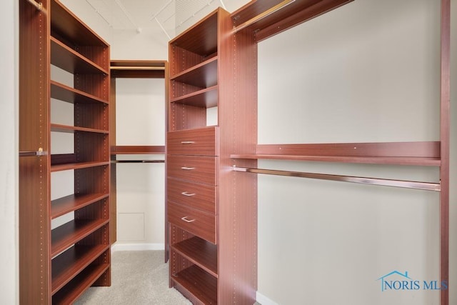 walk in closet with carpet floors