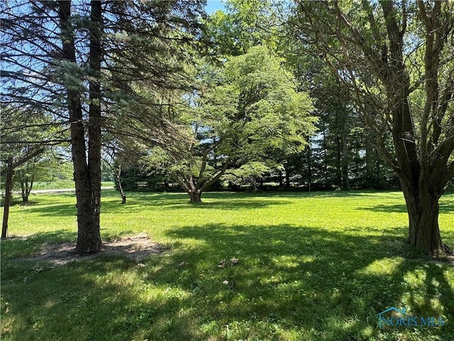 3190 Rd 204, Antwerp, OH 45813 - view of green lawn