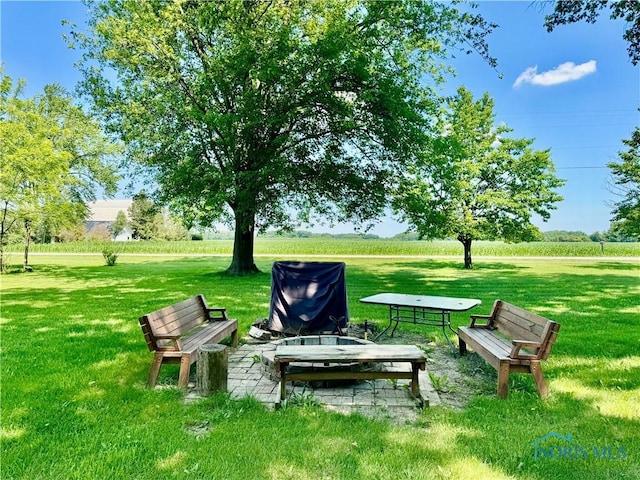 3190 Rd 204, Antwerp, OH 45813 - view of grassy yard