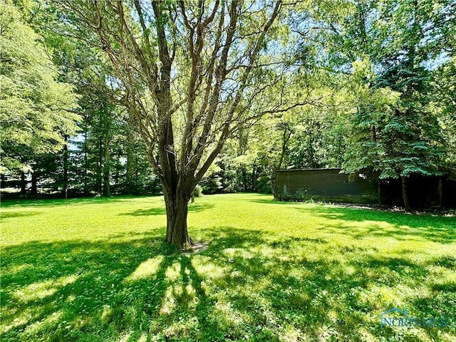 3190 Rd 204, Antwerp, OH 45813 - view of grassy yard