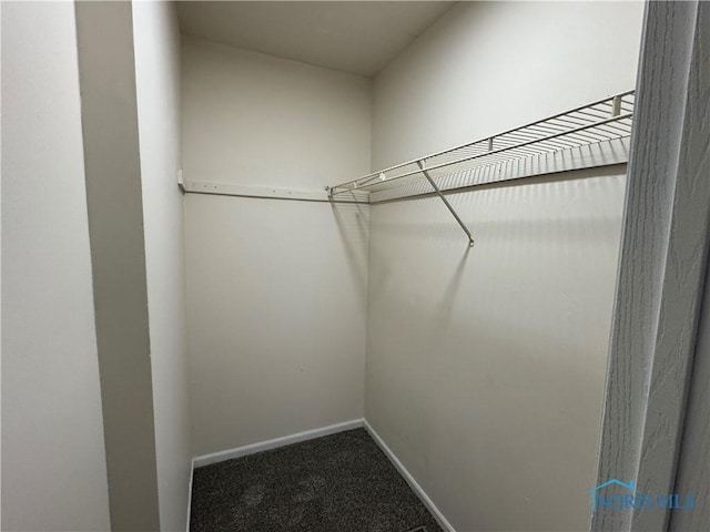 spacious closet featuring carpet floors