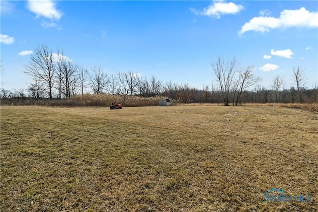 view of yard featuring a rural view