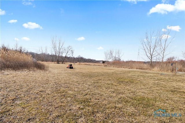 view of yard with a rural view