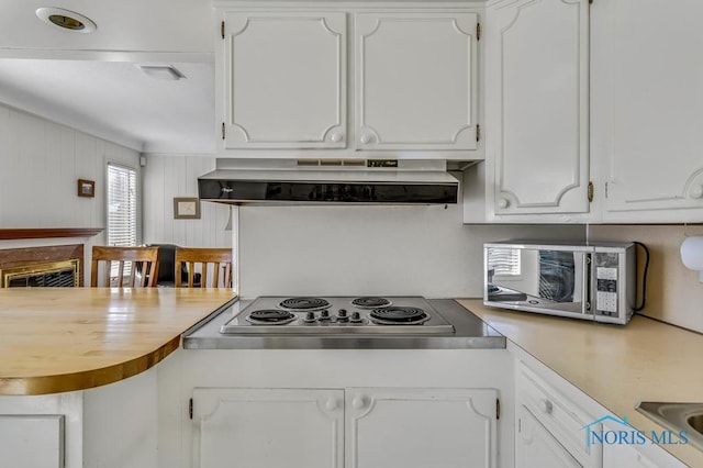 kitchen with white cabinets, appliances with stainless steel finishes, ventilation hood, light countertops, and a fireplace