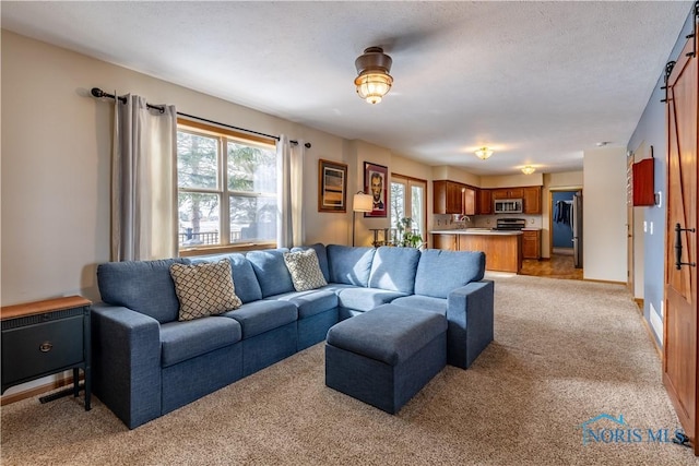 living room with light carpet, baseboards, and a textured ceiling