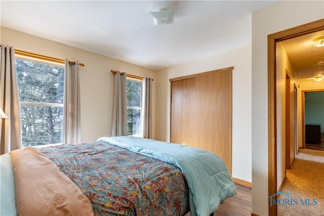 bedroom with multiple windows, a closet, and baseboards