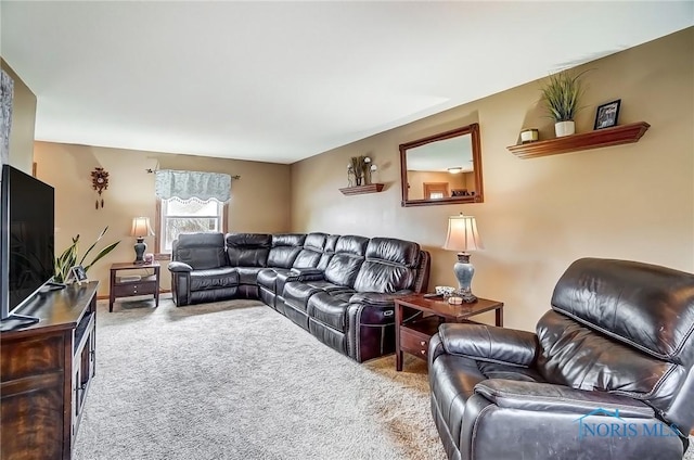 living area featuring carpet floors