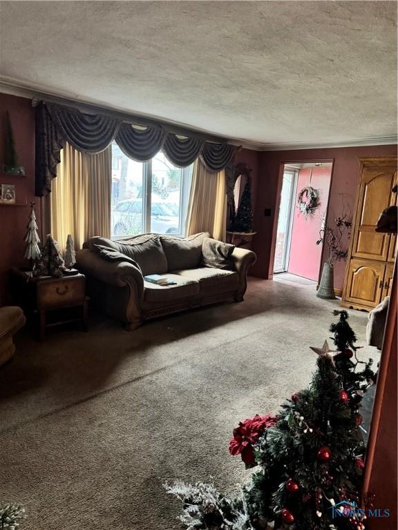 living room with a textured ceiling and carpet floors