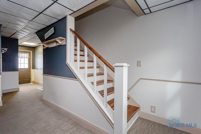 stairs with carpet, a drop ceiling, and baseboards