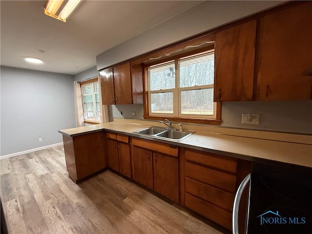 kitchen with light countertops, brown cabinetry, a sink, and light wood-style floors