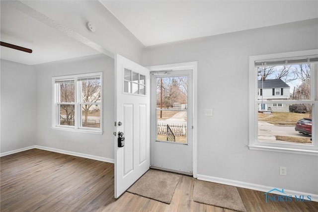 foyer entrance featuring plenty of natural light, baseboards, and wood finished floors