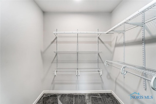 walk in closet featuring carpet floors