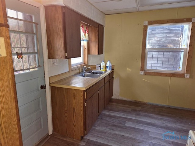 kitchen with brown cabinets, wood finished floors, light countertops, a paneled ceiling, and a sink