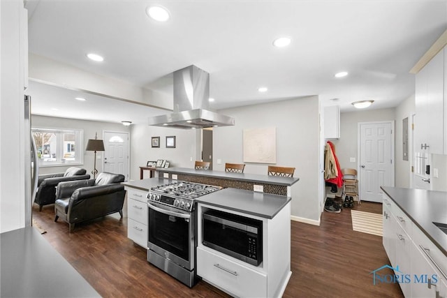 kitchen featuring white cabinets, island exhaust hood, stainless steel appliances, and open floor plan