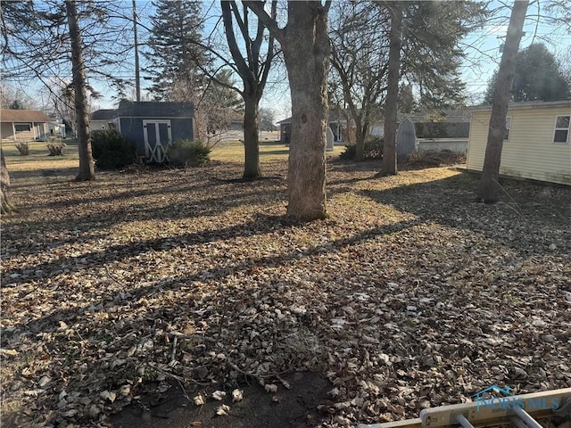 view of yard with a storage unit and an outdoor structure