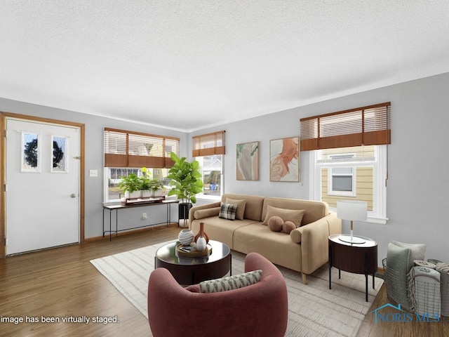 living area featuring a textured ceiling and wood finished floors