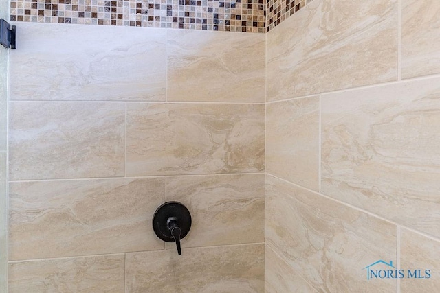 room details with tiled shower