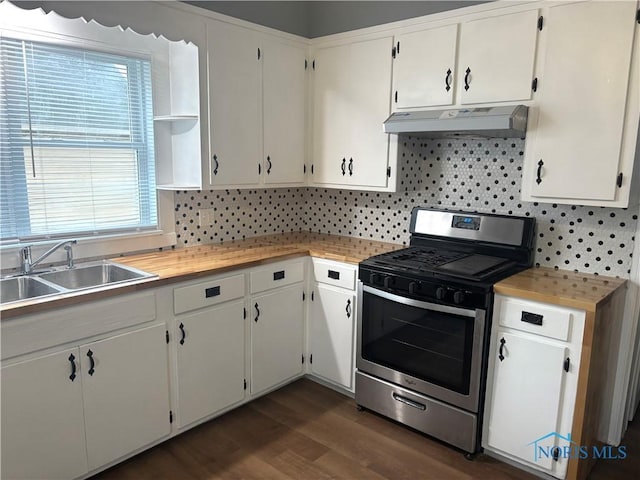 kitchen featuring tasteful backsplash, dark wood-style floors, under cabinet range hood, stainless steel range with gas cooktop, and a sink