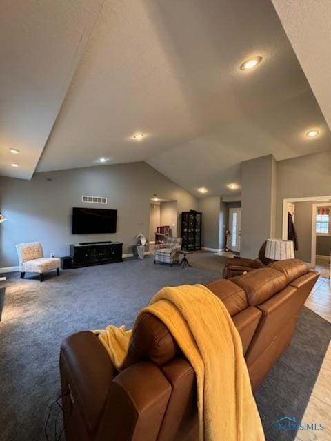 living area with carpet flooring, baseboards, and lofted ceiling