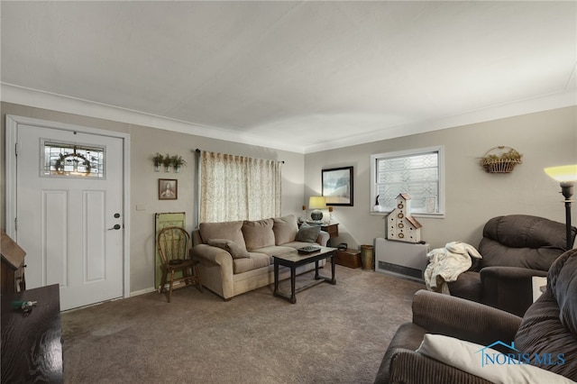 living area featuring carpet flooring