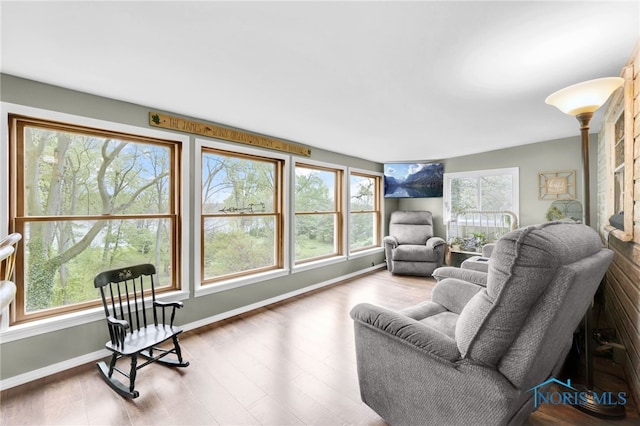 6011 N River Rd, Waterville, OH 43566 - living room featuring baseboards and wood finished floors