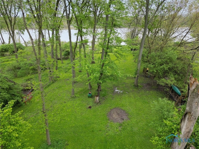 6011 N River Rd, Waterville, OH 43566 - view of yard with a water view
