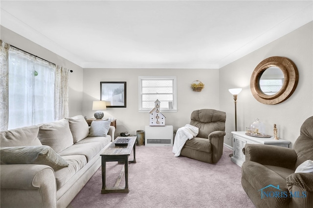 6011 N River Rd, Waterville, OH 43566 - carpeted living room with crown molding and baseboards