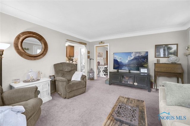 6011 N River Rd, Waterville, OH 43566 - living area featuring light colored carpet and ornamental molding