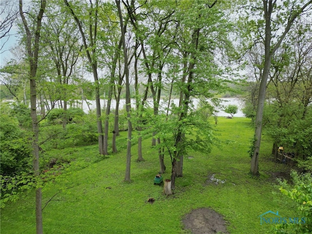 6011 N River Rd, Waterville, OH 43566 - view of yard featuring a water view