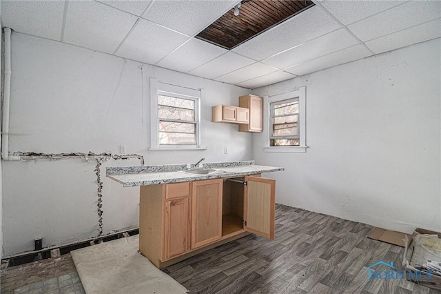 2618 Collingwood Blvd, Toledo, OH 43610 - kitchen with dark wood-style floors, a paneled ceiling, visible vents, light brown cabinets, and a sink