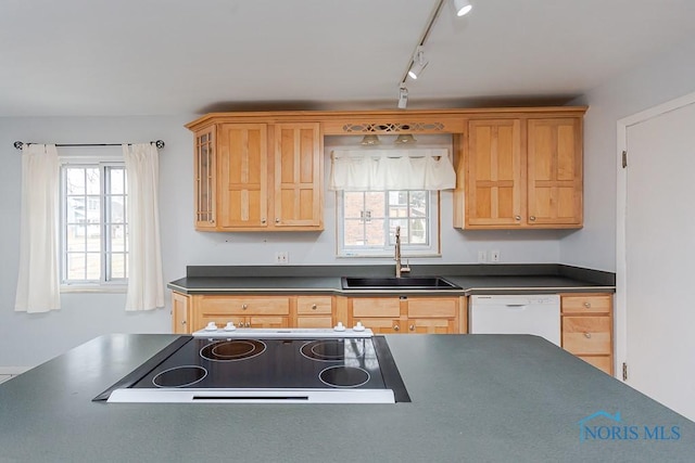 kitchen featuring dark countertops, glass insert cabinets, a sink, stovetop, and dishwasher