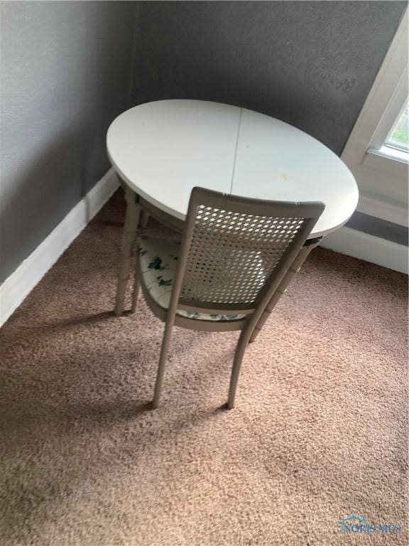 room details featuring carpet floors and baseboards