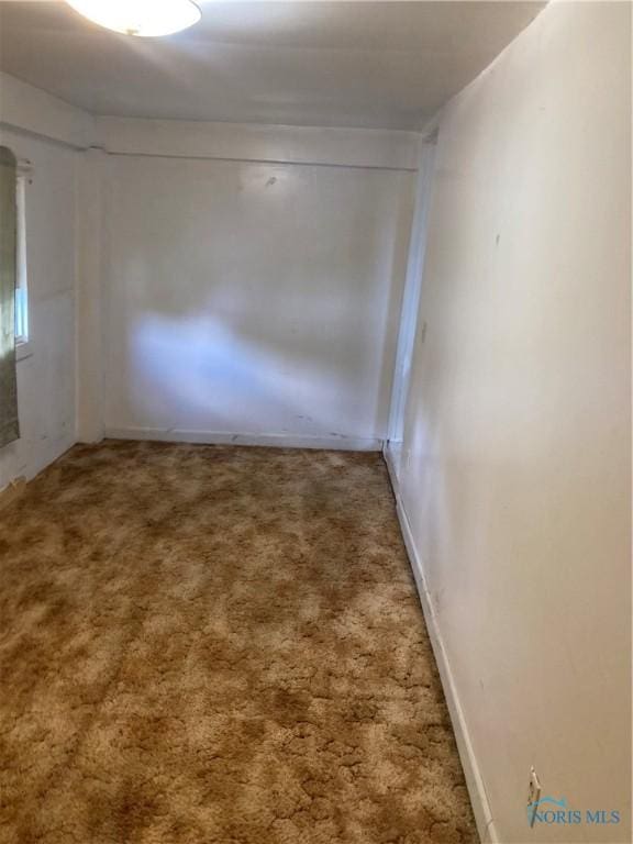 spare room with carpet