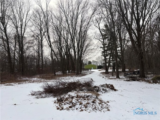 view of snowy yard