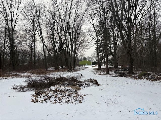 view of yard covered in snow