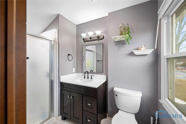 full bath featuring toilet, a shower stall, and vanity